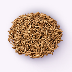 Ashwagandha Extract (75mg)